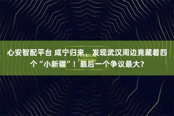心安智配平台 咸宁归来，发现武汉周边竟藏着四个“小新疆”！最后一个争议最大？