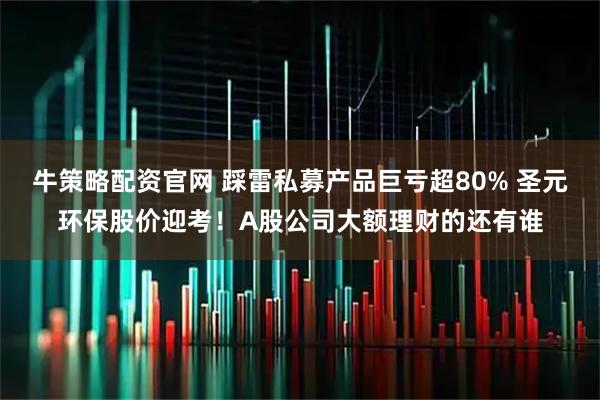 牛策略配资官网 踩雷私募产品巨亏超80% 圣元环保股价迎考！A股公司大额理财的还有谁