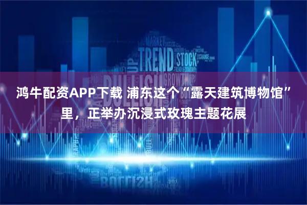 鸿牛配资APP下载 浦东这个“露天建筑博物馆”里，正举办沉浸式玫瑰主题花展