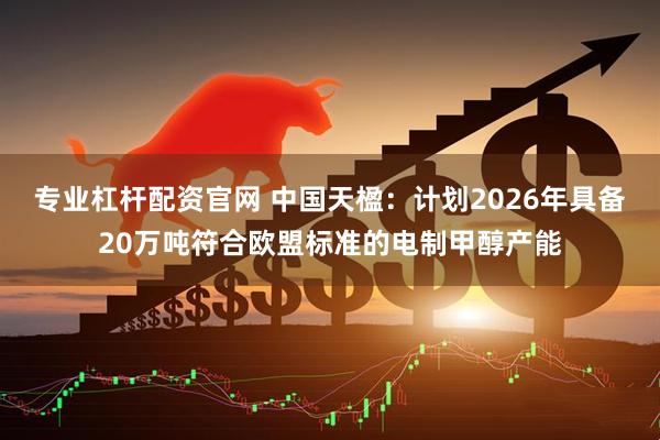 专业杠杆配资官网 中国天楹：计划2026年具备20万吨符合欧盟标准的电制甲醇产能